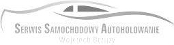 serwis-samochodowy-wojciech-brzuzy-elk